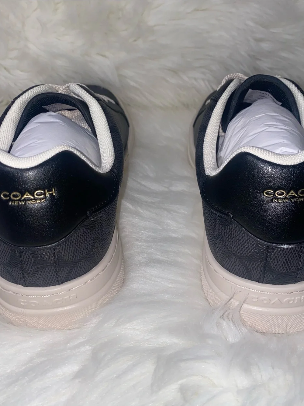 Coach Woman High Line Sneaker In Signature Canvas Size 9.5 New in box